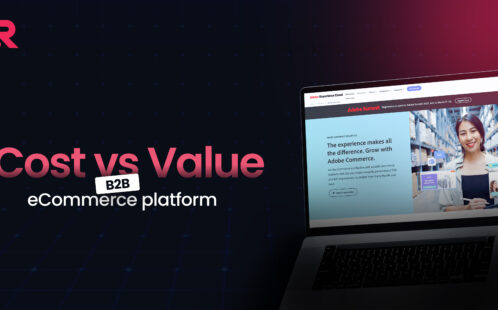 Cost vs. Value: What to Consider When Investing in a B2B eCommerce Platform
